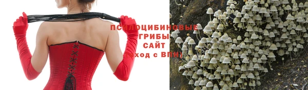 круглые Алексеевка