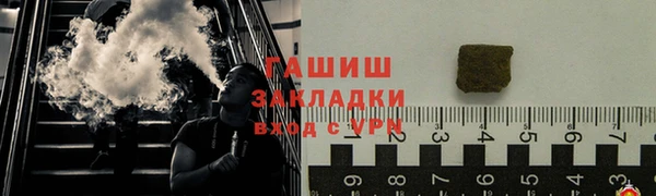СК Алексин