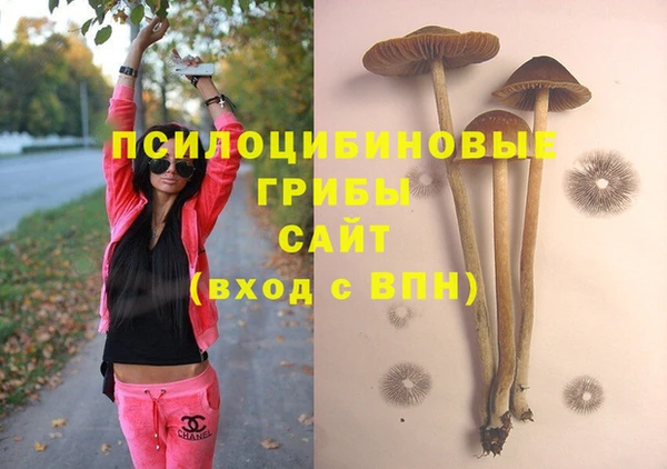 шишки Покров