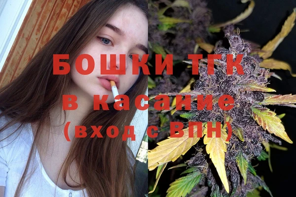 PSILOCYBIN Алзамай