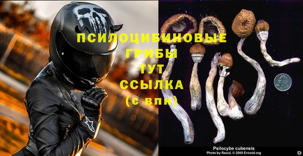 PSILOCYBIN Алзамай