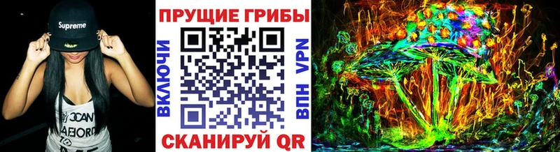 купить закладку  Сатка  Псилоцибиновые грибы ЛСД 