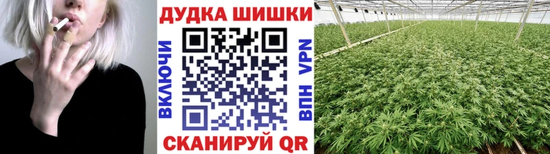 блэк спрут как зайти  Сатка  Бошки Шишки ГИДРОПОН 